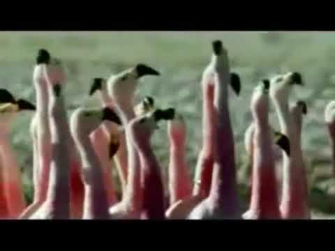 Wie is de heilige Geest?