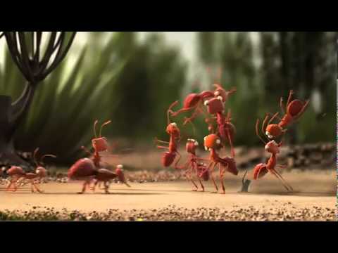 Samen heeft z'n voordelen