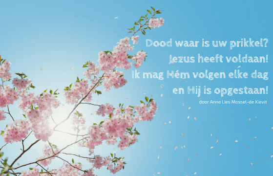 Terugblik op succesvol 40-dagenproject