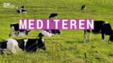Mediteren over het geloof