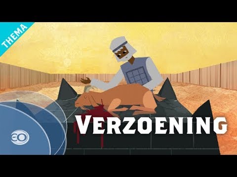 Het Bijbel Project | Verzoening