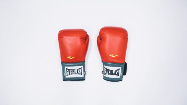 Levenswijsheid door de Bijbelcursus