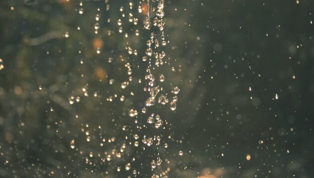 Pinksteren: de mooiste filmpjes