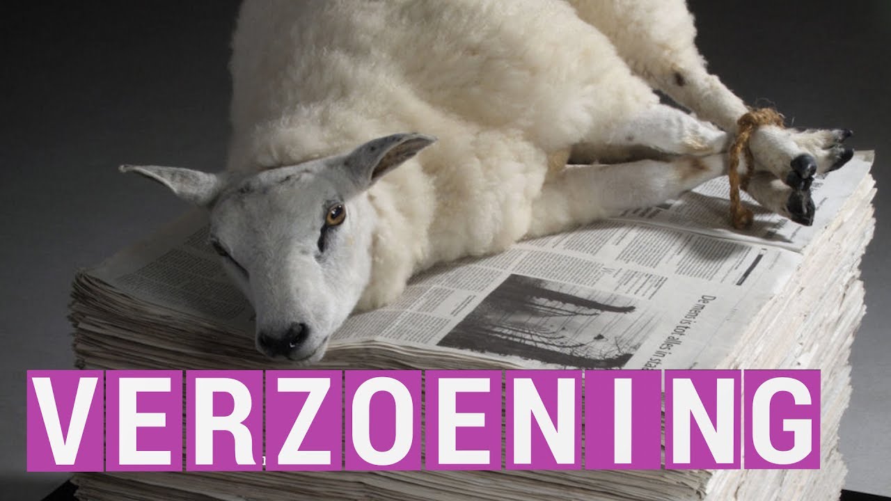 Verzoening | jongeren