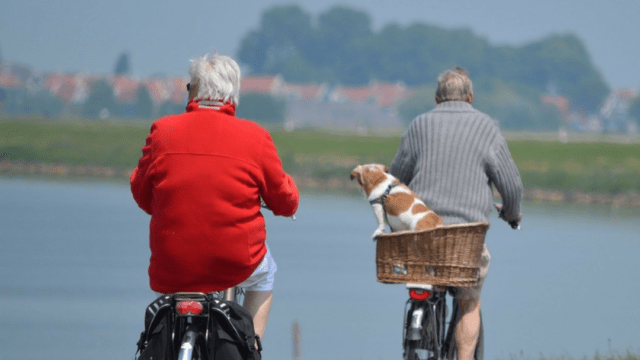 Binnenkort: portal voor ouderenwerk