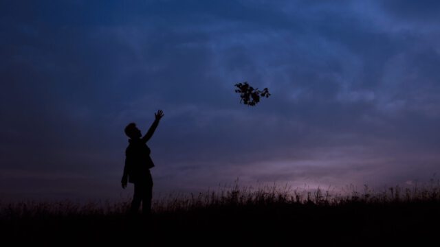 Dag 27: Vasthouden of loslaten