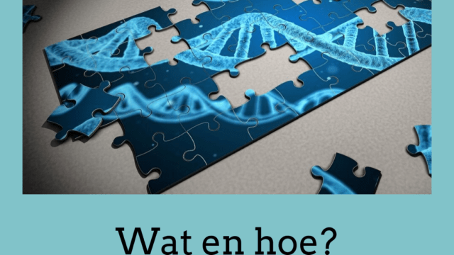 Een kinderbijbel uitzoeken voor iemand met een verstandelijke beperking