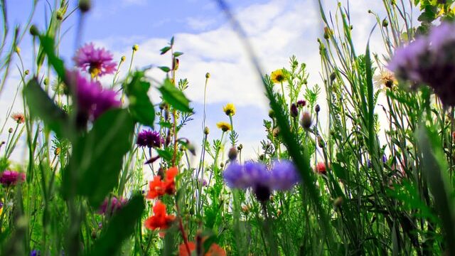 WINACTIE: kwetsbaarheid in seksualiteit – #MeToo