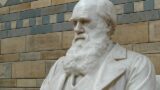 Darwin en God gaan prima samen