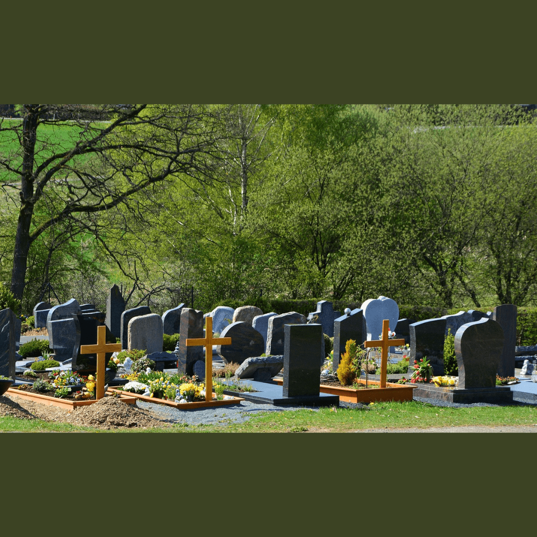 Zij die ons voorgingen