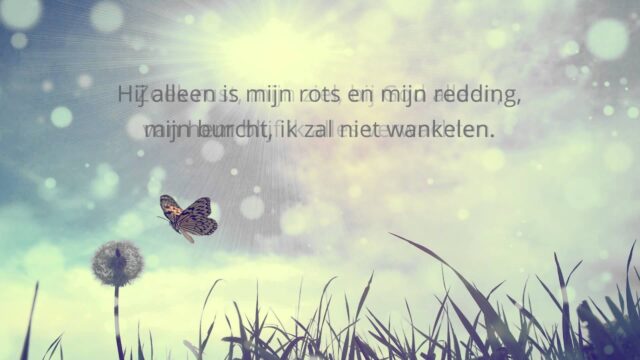 Dag 7: Verder op de weg terug