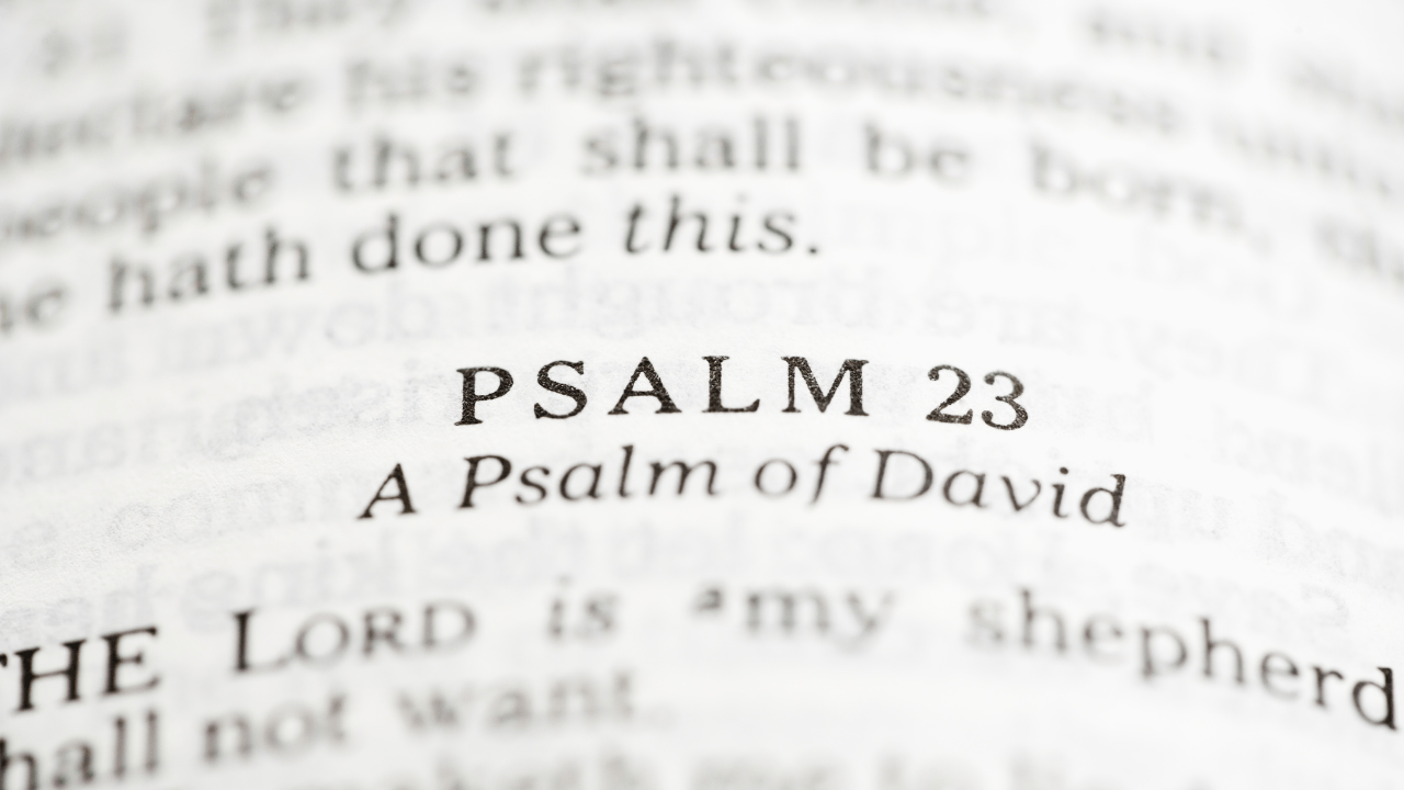 Het leven van psalmist David: een kort overzicht